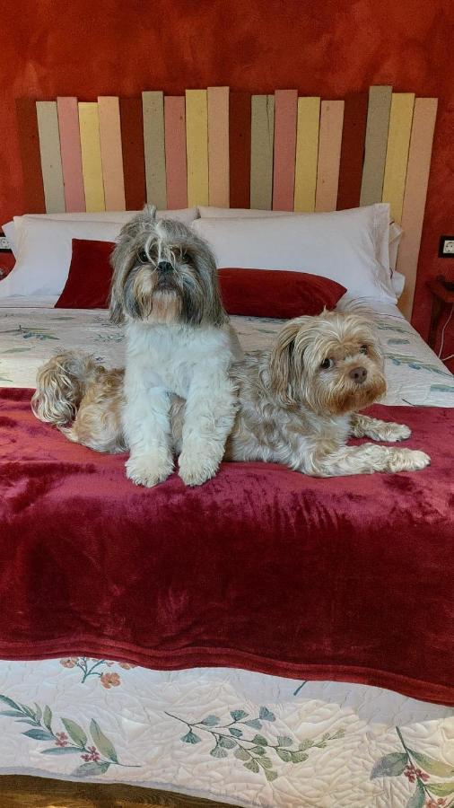 Posada Pet Friendly El Molino De Cantabria Entrambasaguas  Exterior photo