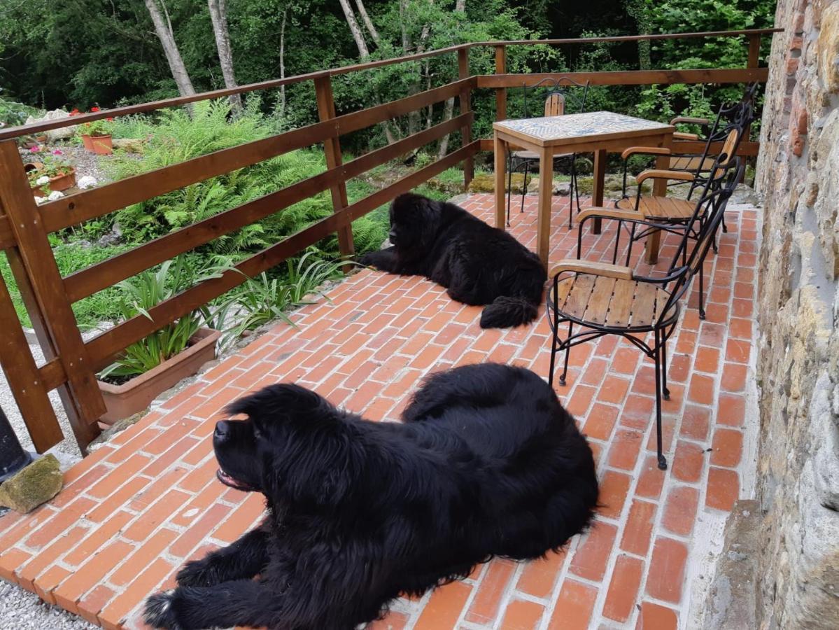 Posada Pet Friendly El Molino De Cantabria Entrambasaguas  Exterior photo