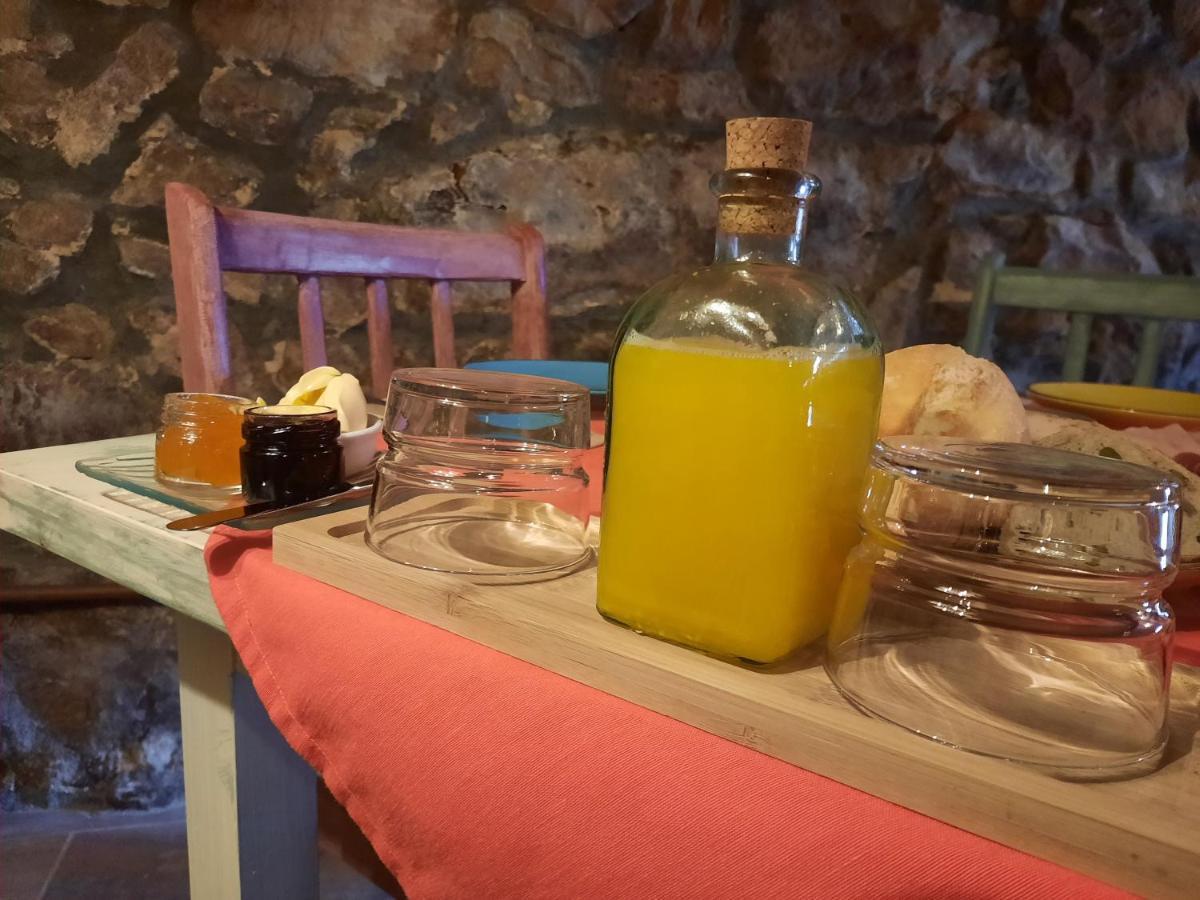Posada Pet Friendly El Molino De Cantabria Entrambasaguas  Exterior photo
