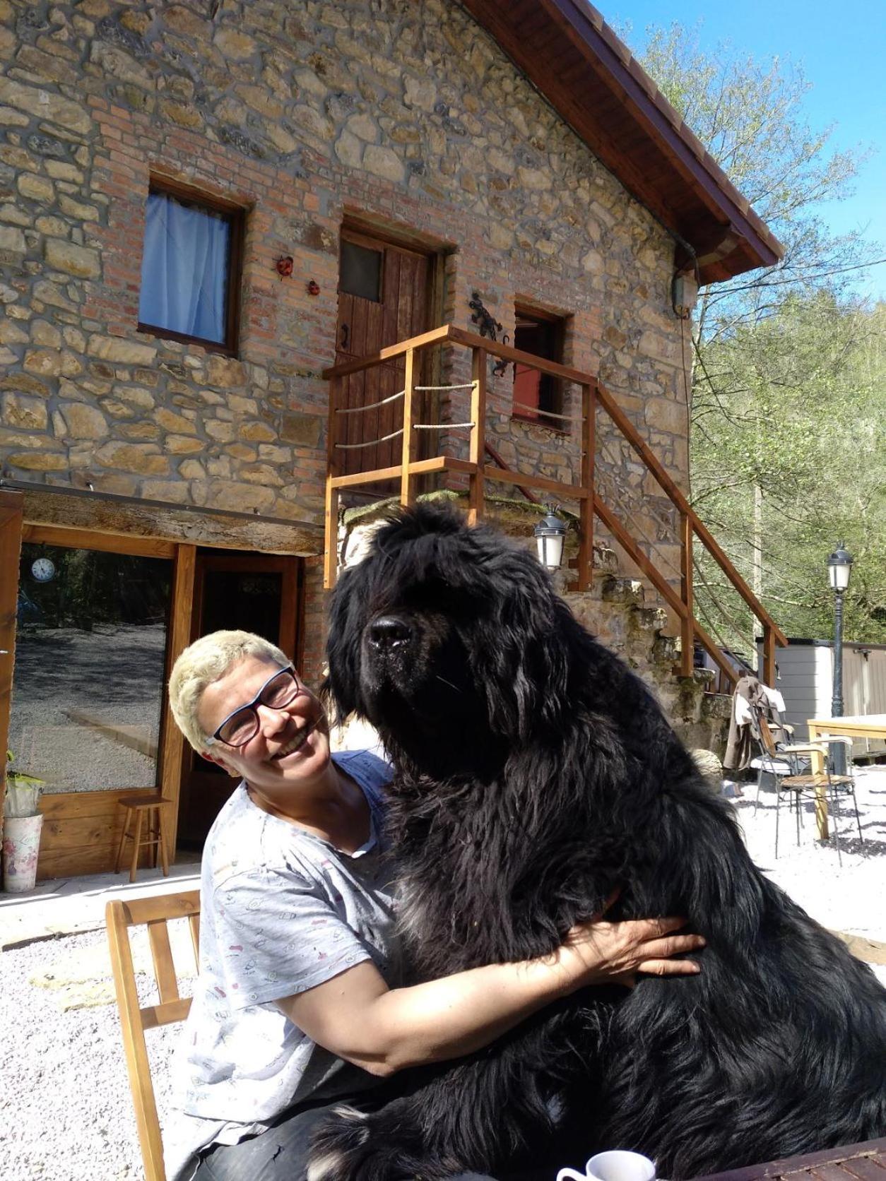Posada Pet Friendly El Molino De Cantabria Entrambasaguas  Exterior photo